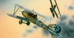 Albatros D.V - Dual Combo - 2 in 1