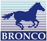 Bronco Models