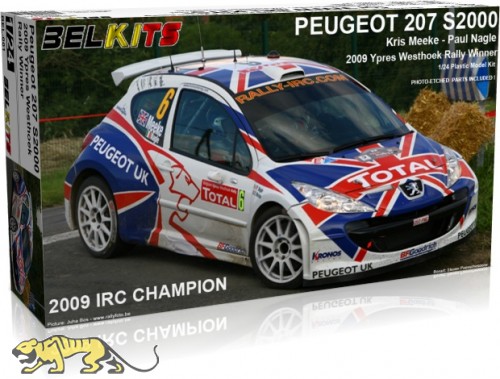 Peugeot 207 S2000 2009 IRC Champion - 1/24