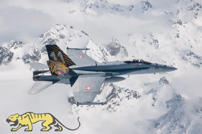 F/A-18 Hornet - Tiger Meet 2016 - 1/72