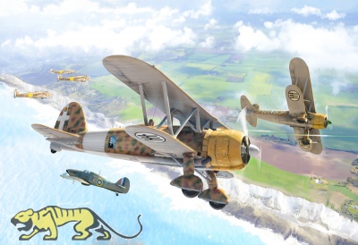 Fiat CR.42 Falco - Battle of Britain - 1:72