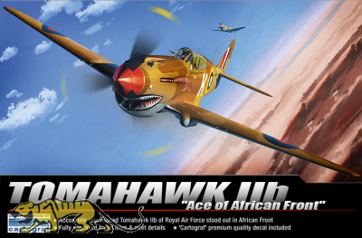 P-40C Tomahawk IIB - RAF - Ace of the African Front - 1/48