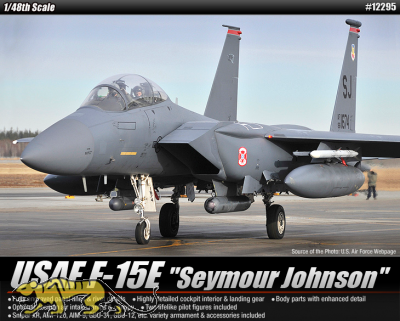 USAF F-15E - Seymour Johnson - 1/48