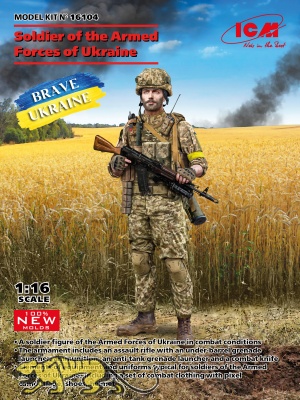 Soldier of the Armed Forces of Ukraine - 1/16