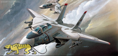 F-14C Tomcat - 1/144