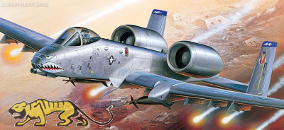 A-10A Operation Iraqi Freedom - 1/72