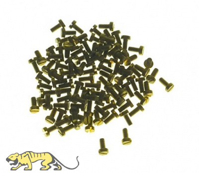 Messingschrauben M2,5 x 5,0 mm Flachkopfschrauben Schlitz DIN 84 - 100 Stück