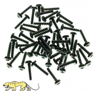 Tapping Screws M3 x 12 mm - Stainless Steel – 50 pieces