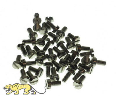 Edelstahlschrauben M3 x 6 mm Flachkopfschrauben Schlitz - 40 Stück