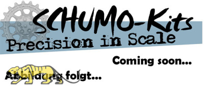 Kugellager-Set Basic für Lauf- und Spannrollen – Tamiya Leopard 2A6 / 2A7V – 56020 / 56047 – 1:16