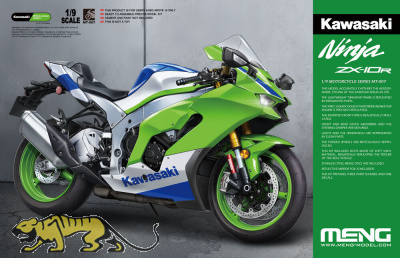 Kawasaki Ninja ZX-10R - 1:9