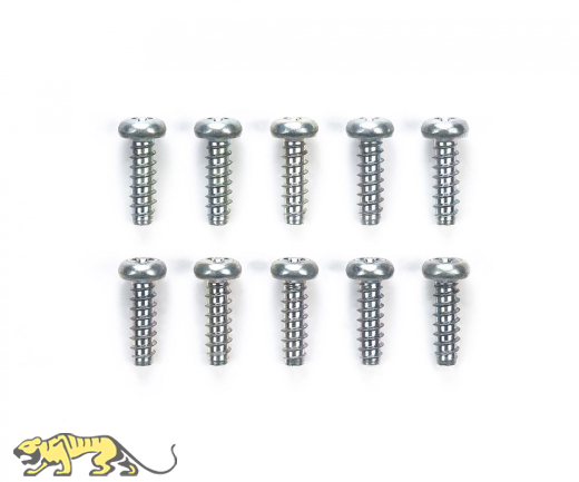Schneidschraube M3x10 - x10