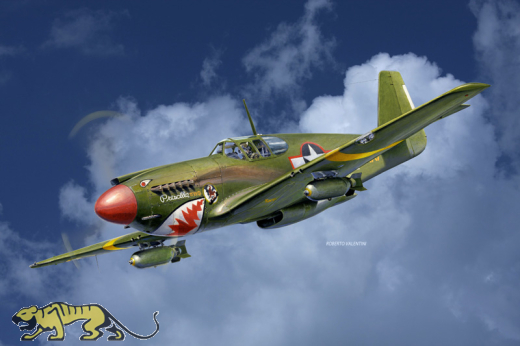 A-36 Apache - Vintage - 1/48