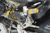 Ducati 1199 Panigale S Front Fork Set - Vordergabel Set - 1:12
