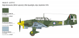 Ju 87 B-2 / R-2 - Picchiatello - 1:48