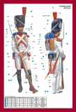 Imperial Guard - Dutch Grenadier - Napoleonic Wars - 1/16