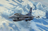 Lockheed Martin F-16D - Tigermeet 2014 - 1:72