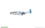 Aces of the Eighth - P-51D Mustang - Dual Combo - 1:72
