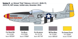 P-51D Mustang - ACES - 1/72
