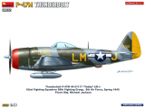 P-47M- Thunderbolt - Advanced Kit - 1:48