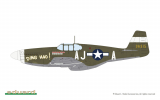 P-51B Mustang - Birdcage canopy - Weekend Edition - 1/48