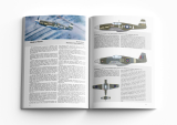 P-51B Mustang - Royal Hybrid - 1:32