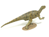 Fukuisaurus - Clic Loc - 1:35