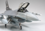 Lockheed Martin F-16C (Block 25/32) - Fighting Falcon ANG - 1:48