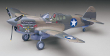 P-40E Warhawk - US Army Air Force Fighter - 1:32