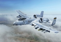 Fairchild Republic A-10C - Blacksnackes - 1/48