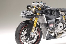 Ducati 1199 Panigale S Front Fork Set - Vordergabel Set - 1:12