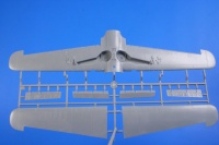 IAR-81C - Rumanian Defender - 1:32