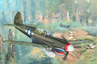 P-40N Warhawk - 1:32