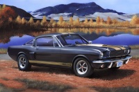 Shelby Mustang GT 350 H - 1/24