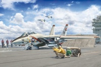 Grumman F-14A - 50th First Flight Anniversary - 1/72