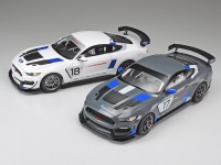 Ford Mustang GT4 - 1/24