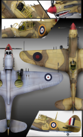 P-40C Tomahawk IIB - RAF - Ace of the African Front - 1/48
