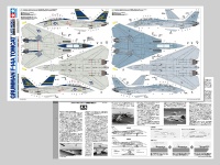 Grumman F-14A Tomcat - late model - Carrier launch - 1/48