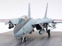 Grumman F-14A Tomcat - late model - Carrier launch  1:48