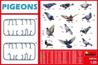 Pigeons - 1/35