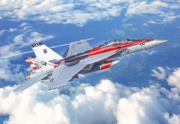 F/A-18F Super Hornet - US Navy Special Colors - 1/48