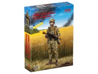 Soldier of the Armed Forces of Ukraine - 1/16