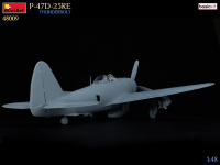 P-47D 25RE - Thunderbolt - Basic Kit - 1/48