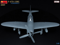 P-47D 25RE - Thunderbolt - Basic Kit - 1/48
