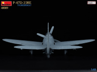 P-47D 25RE - Thunderbolt - Basic Kit - 1/48