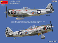 P-47D 30RE - Thunderbolt - Basic Kit - 1/48