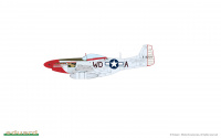 Aces of the Eighth - P-51D Mustang - Dual Combo - 1/72
