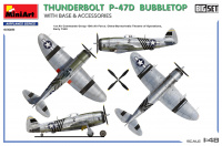 Thunderbolt - P-47D Bubbletop with Base and Accessories - Big Set - Diorama - 1:48