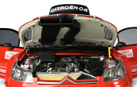 Citroën C4 WRC - Rally Monte Carlo 2008 - 1:8