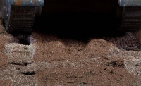 Smart mud for Diorama texturing - 200ml
